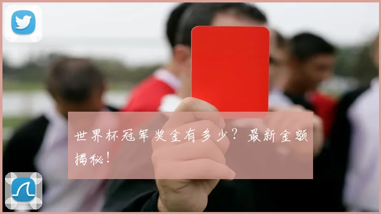 世界杯冠军奖金有多少?最新金额揭秘!