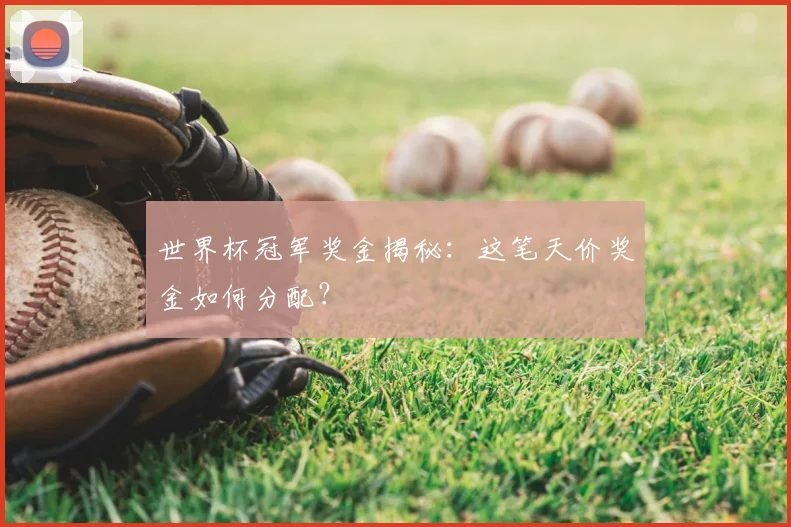 世界杯冠军奖金揭秘:这笔天价奖金如何分配?