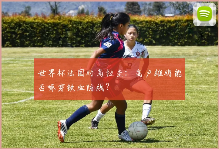 世界杯法国对乌拉圭:高卢雄鸡能否啄穿铁血防线?