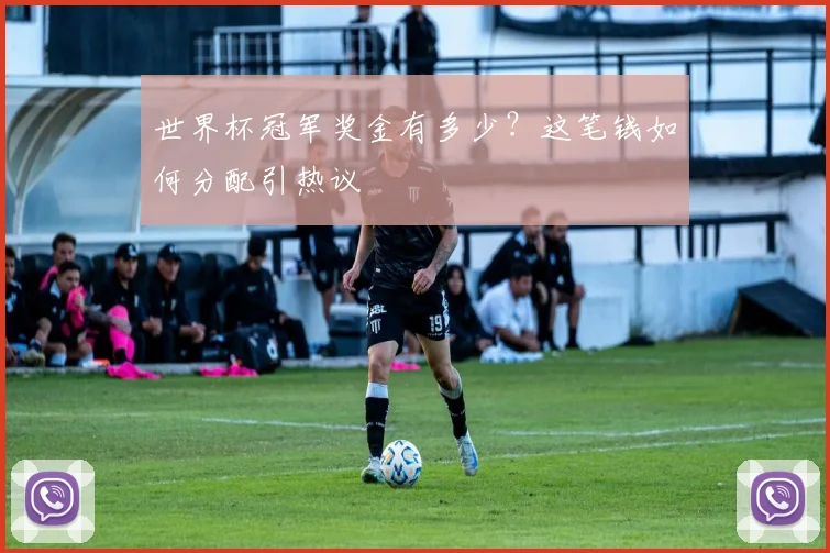 世界杯冠军奖金有多少?这笔钱如何分配引热议