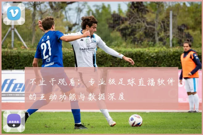 不止于观看：专业级足球直播软件的互动功能与数据深度