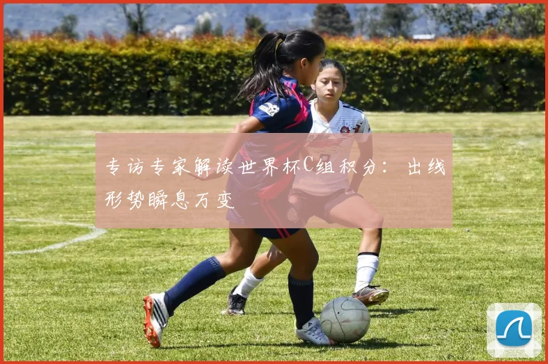 专访专家解读世界杯C组积分：出线形势瞬息万变
