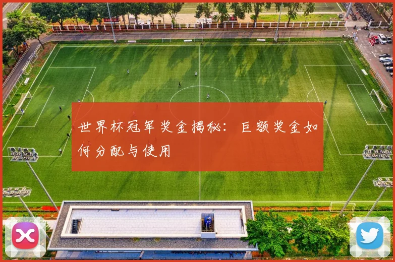世界杯冠军奖金揭秘:巨额奖金如何分配与使用