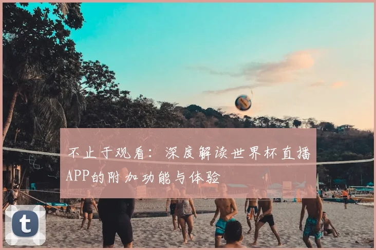 不止于观看：深度解读世界杯直播APP的附加功能与体验