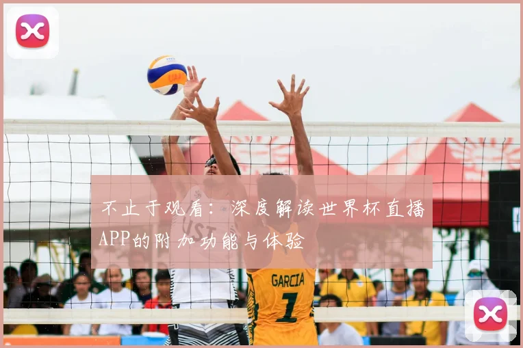 不止于观看：深度解读世界杯直播APP的附加功能与体验