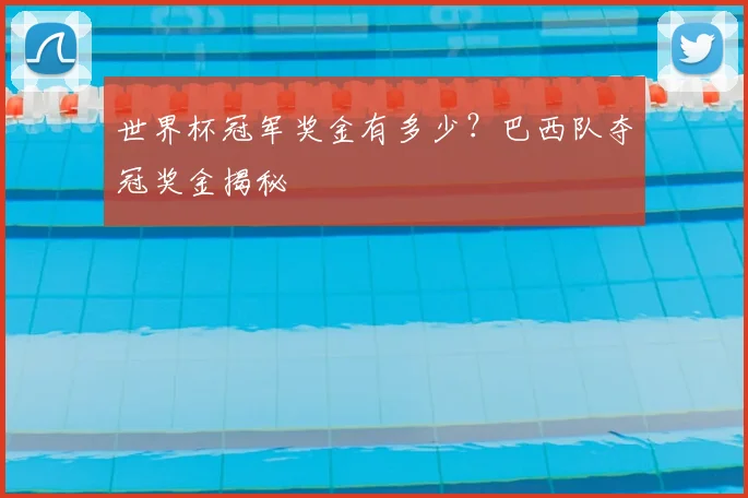 世界杯冠军奖金有多少?巴西队夺冠奖金揭秘