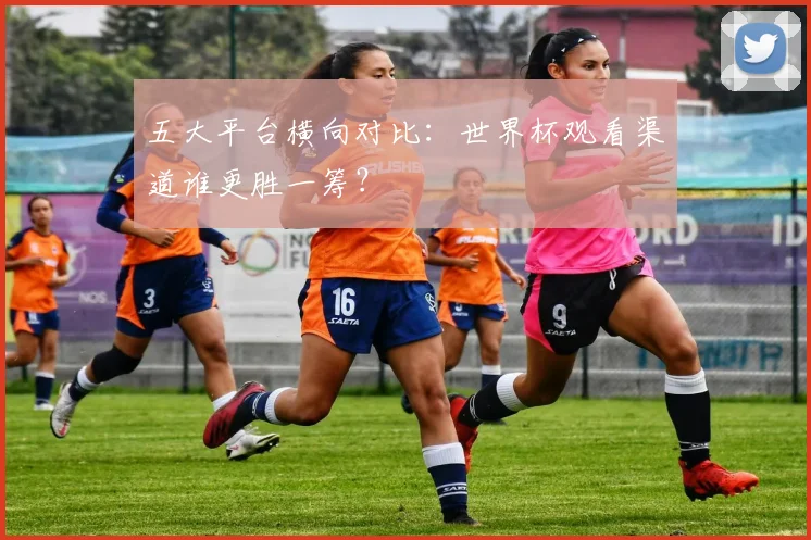 五大平台横向对比：世界杯观看渠道谁更胜一筹？