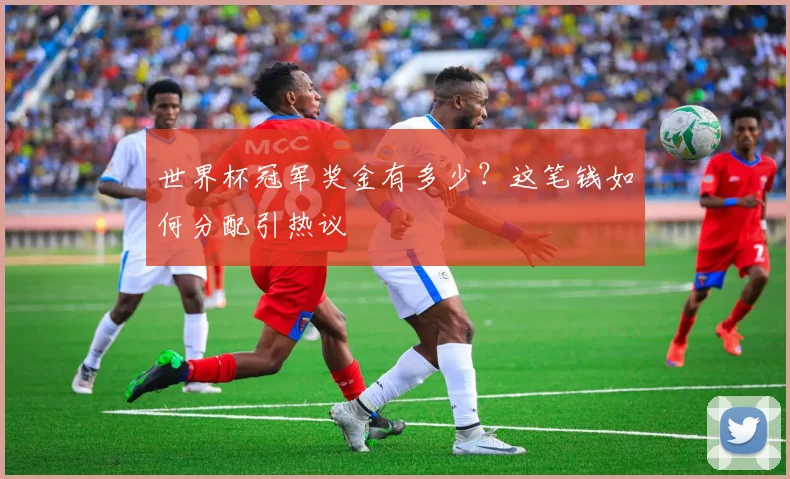 世界杯冠军奖金有多少?这笔钱如何分配引热议