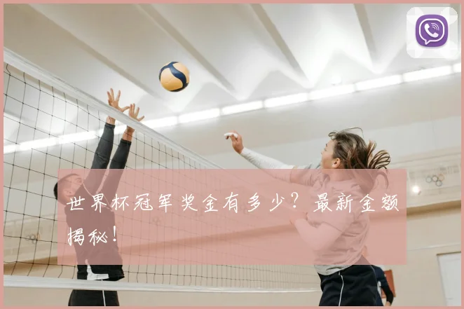 世界杯冠军奖金有多少?最新金额揭秘!