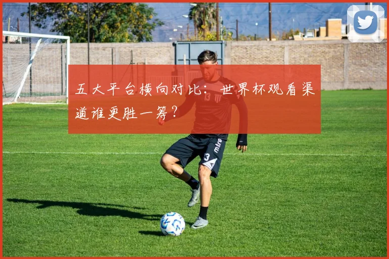 五大平台横向对比：世界杯观看渠道谁更胜一筹？