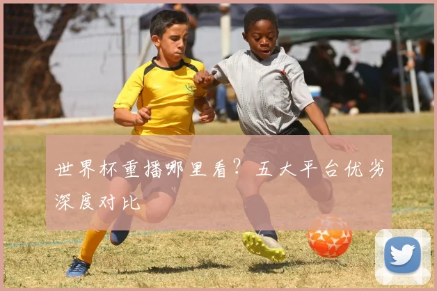 世界杯重播哪里看?五大平台优劣深度对比