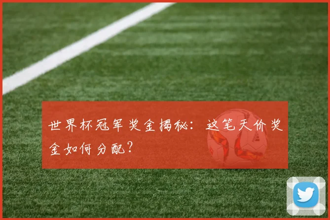 世界杯冠军奖金揭秘:这笔天价奖金如何分配?