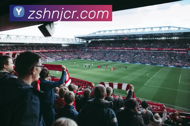 mksports登录入口平台生态图